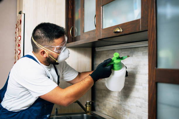 Best Bed Bug Extermination  in Chatham, VA