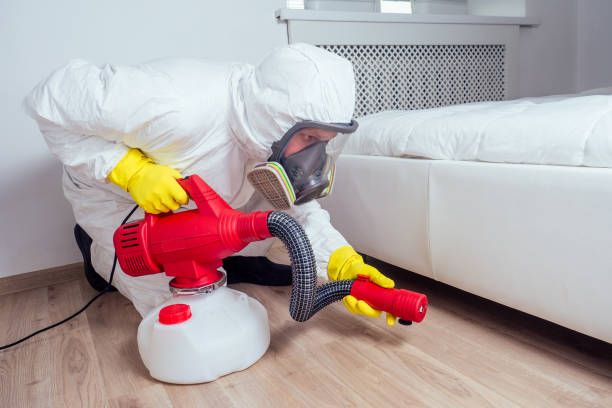 Best Insect Control  in Chatham, VA