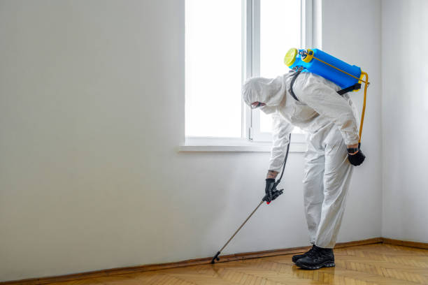 Best Pest Control Near Me  in Chatham, VA