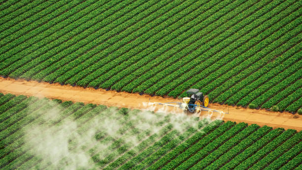 Best Commercial Pest Control Services  in Chatham, VA