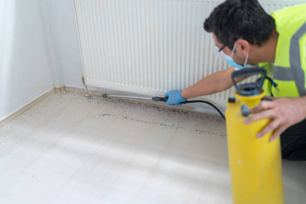Best Best Pest Control Companies  in Chatham, VA